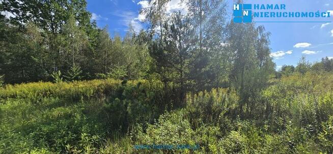 Wyjątkowa działka w Owczarni