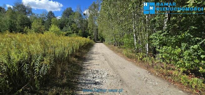 Wyjątkowa działka w Owczarni