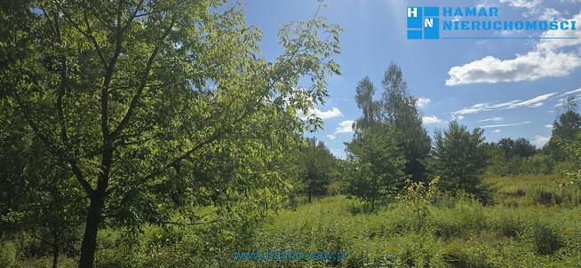 Wyjątkowa działka w Owczarni