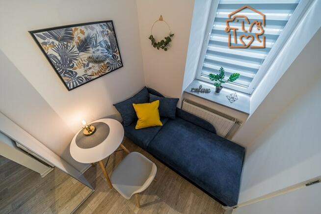 Wynajmę studio przyjazne dla zwierząt, Nasyp 2