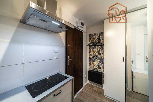 Wynajmę studio przyjazne dla zwierząt, Nasyp 2