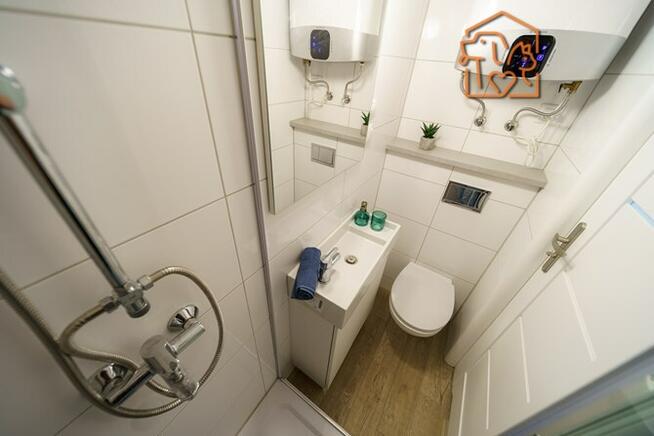 Wynajmę studio przyjazne dla zwierząt, Nasyp 2