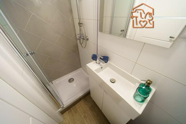 Wynajmę studio przyjazne dla zwierząt, Nasyp 2