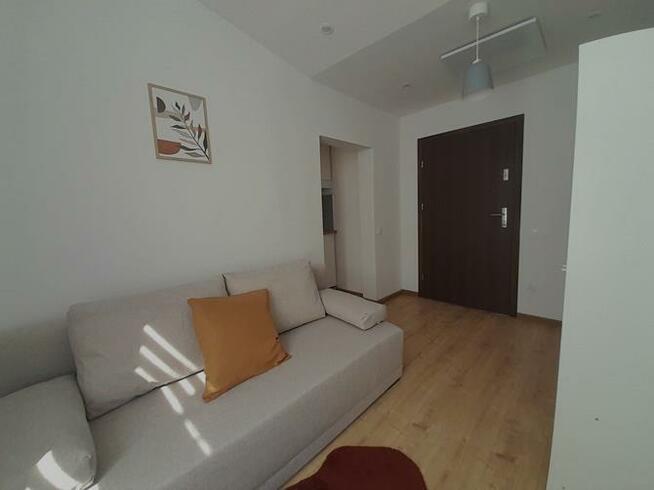 Wynajmę kawalerkę pet friendly, Modrzejowska 89