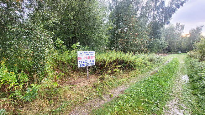 Na Sprzedaż piękna działka o pow. 487 m2 Biskupice