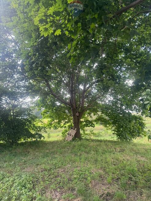 Przezmark – działka 2038 m² blisko jeziora i lasów