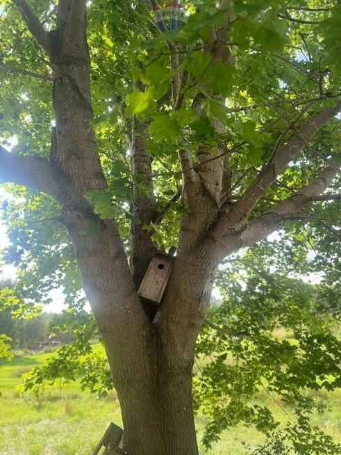 Przezmark – działka 2038 m² blisko jeziora i lasów