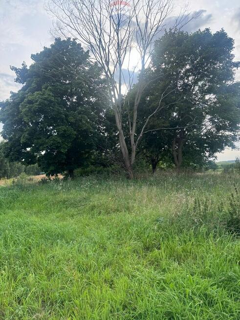 Przezmark – działka 2038 m² blisko jeziora i lasów