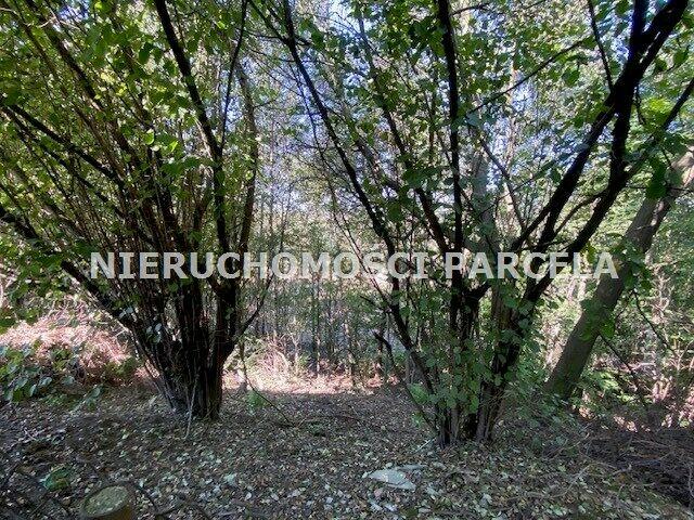 REZERWACJA ! Dom wolnostojący na dużej działce