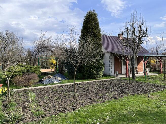 Sprzedam działkę ROD Hutnik I Stalowa Wola