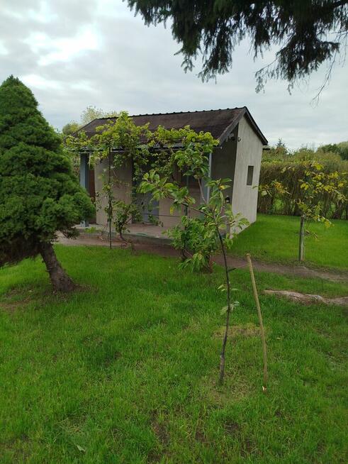 Sprzedam działkę ogrodową