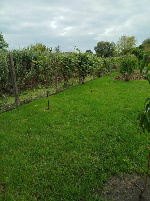 Sprzedam działkę ogrodową