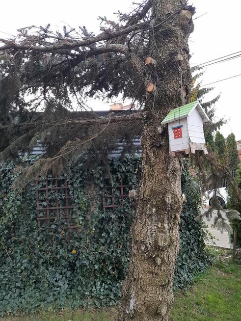 Szukam przyjaciółki.