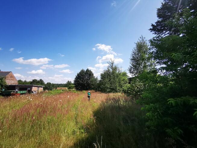 Działka R-B(rolna kl.V) z możliw.zabudowy jednorodzinnej