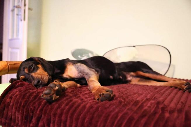 Przed Państwem.. Lola! :)