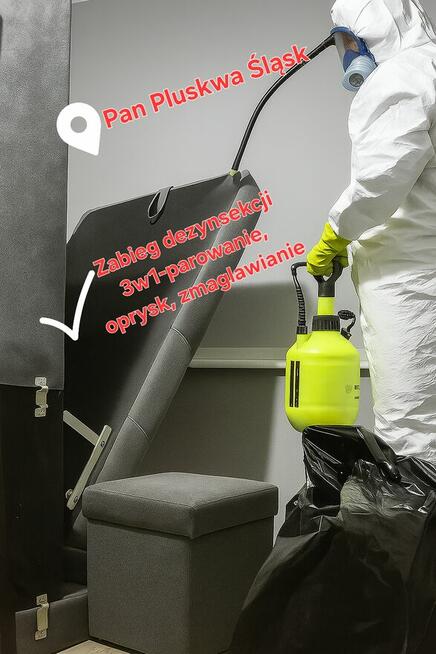 Dezynsekcja pluskiew, usuniecie karaluchów, usługi DDD Śląsk
