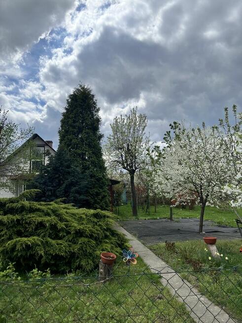Sprzedam działkę ROD Hutnik I Stalowa Wola