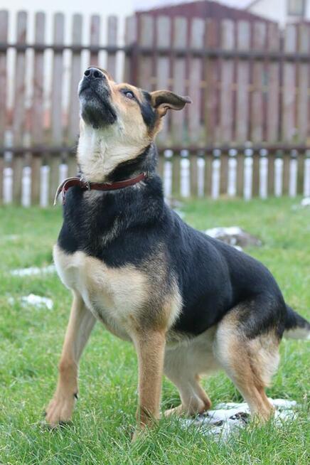 Yyy? Dlaczego ta dama wciąż jest sama? Sara szuka domku