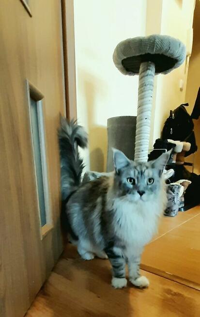 Szukam przyjaciółki.