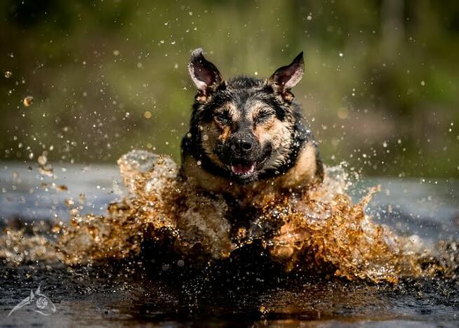 Yyy? Dlaczego ta dama wciąż jest sama? Sara szuka domku