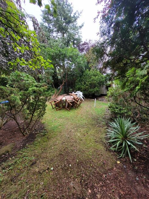 Dom 250m2 do wynajęcia