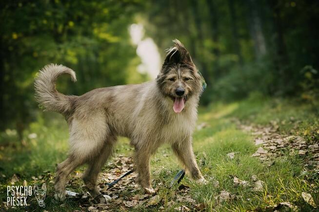 Amor już 5 lat za kratami...