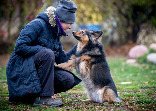 YY, że jak? MacGyver nie ma jeszcze domku? Przygarniesz?