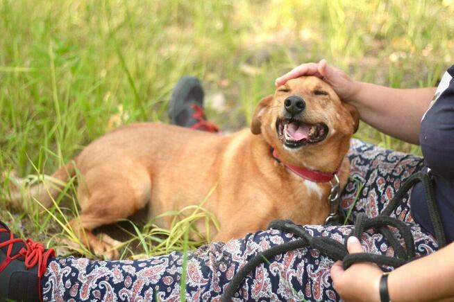 Twist szuka swoich ludzi!