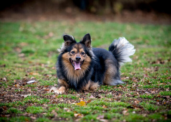 YY, że jak? MacGyver nie ma jeszcze domku? Przygarniesz?