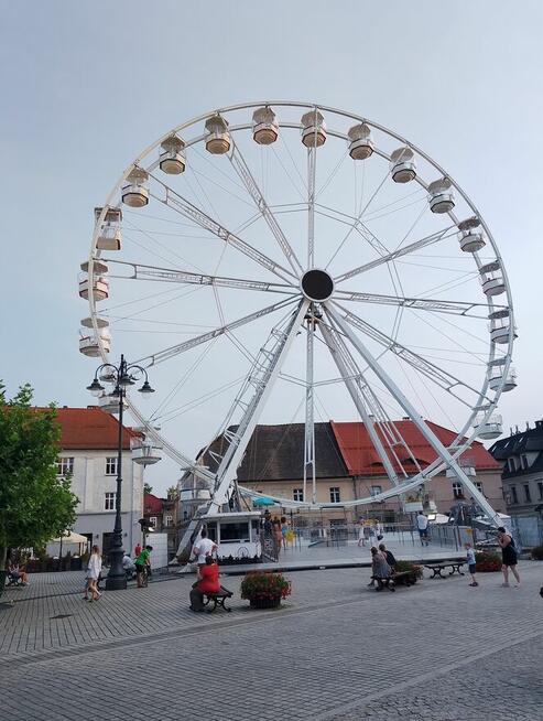 Poznam kobietę wolną prawnie.