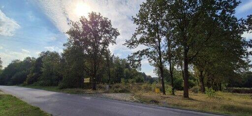 Duża działka inwestycyjna – 12 184 m² Zgierz, Boruta