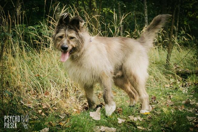 Amor już 5 lat za kratami...