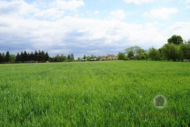 Działka z wydaną decyzją o warunkach zabudowy