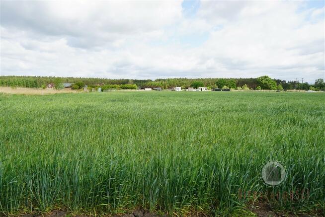 Działka z wydaną decyzją o warunkach zabudowy