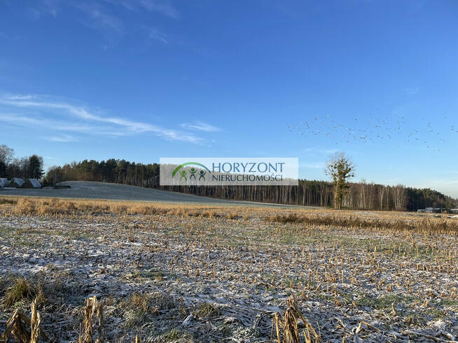 Bojano - trzy działki do wyboru