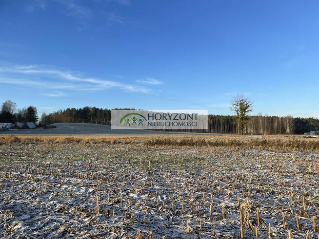 Bojano - trzy działki do wyboru