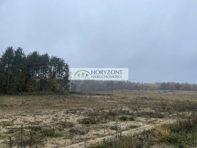 Kamień - działka przy zagajniku