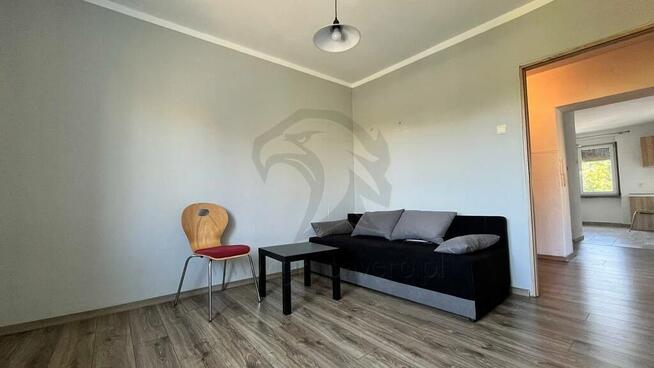 Własne M z codziennym treningiem w pakiecie