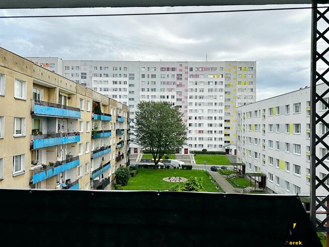 Mieszkanie Kołobrzeg, Gierczak