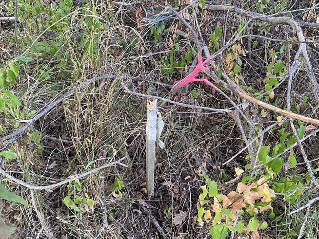 Działka budowlana w spokojnej okolicy