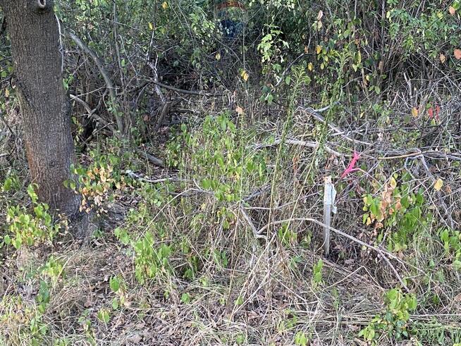 Działka budowlana w spokojnej okolicy