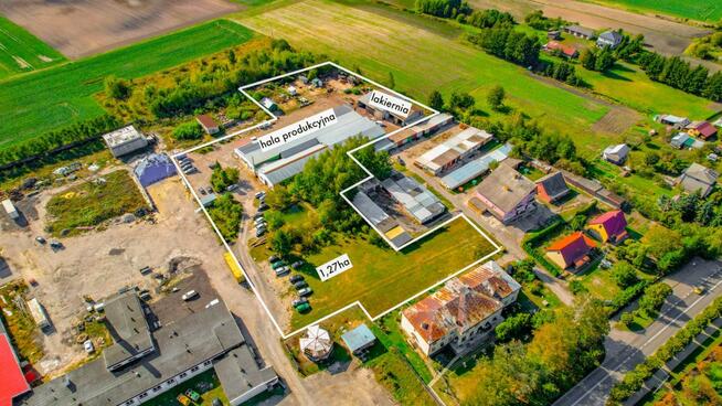 Lokal użytkowy Wierzbica,