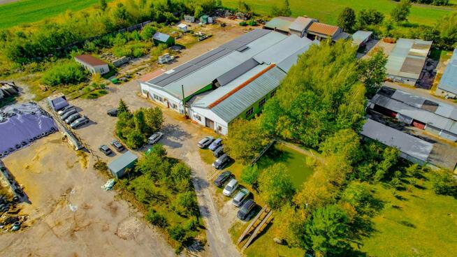 Lokal użytkowy Wierzbica,