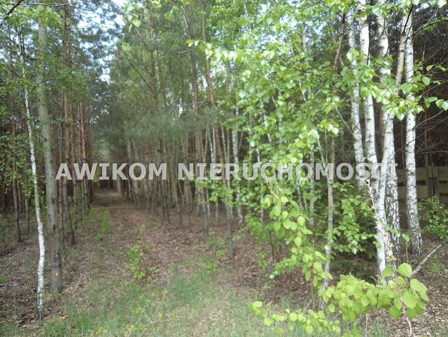 Dom Żyrardów gm. Puszcza Mariańska Puszcza Mariańska