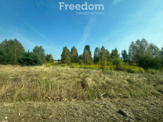 Działka w miejscowości Damianów