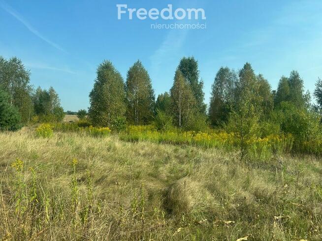 Działka w miejscowości Damianów