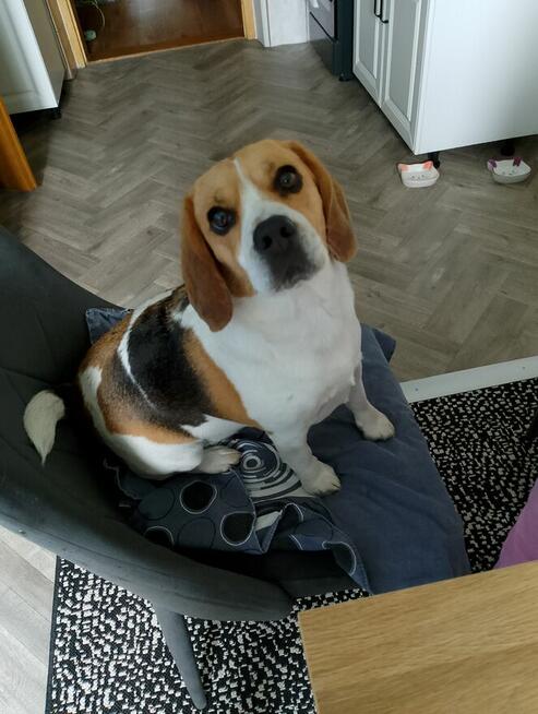 Poznam kobietę wolną prawnie.