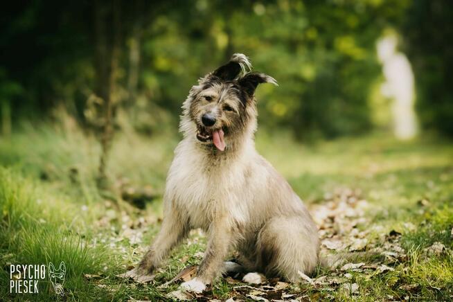 Amor już 5 lat za kratami...