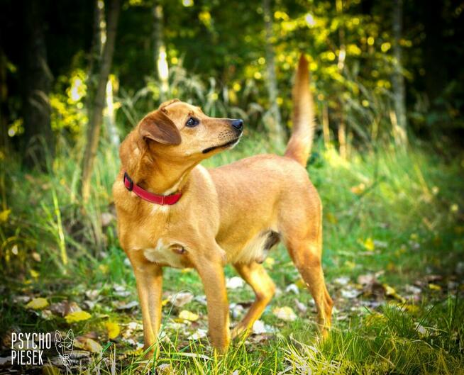 Twist szuka swoich ludzi!