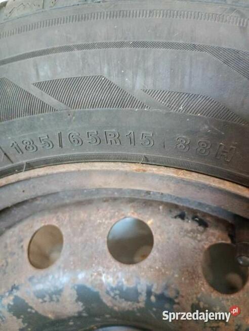 opony zimowe zeetex wp1000